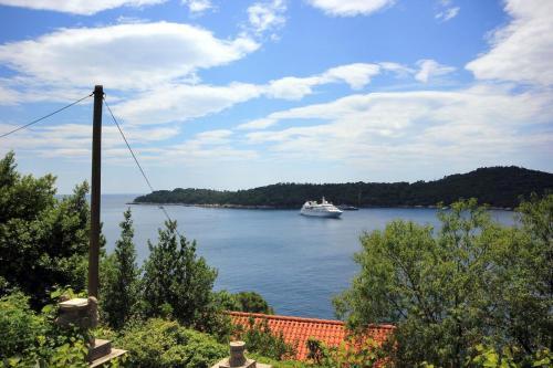 Apartments With Wifi Dubrovnik - 9077