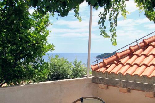 Apartments With Wifi Dubrovnik - 9077