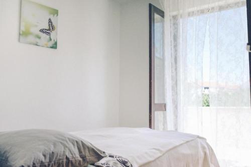 Apartment Fazana 7205a
