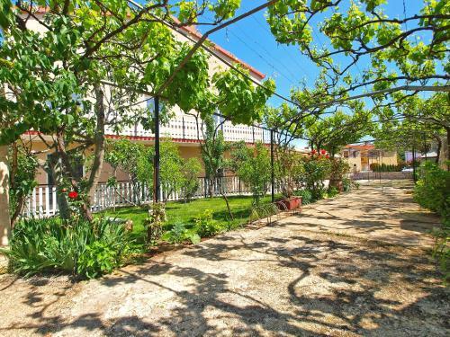 Apartments Aleksandar 968