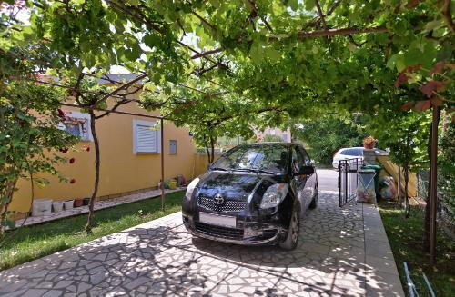 Apartments Milena 436