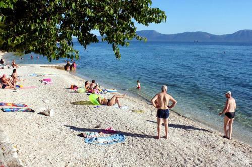 Apartment Gradac 15282b