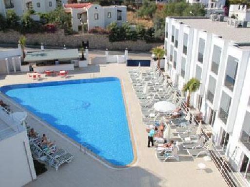 Hotel Club Shark