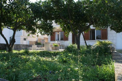 Apartment Zrnovska Banja 4363a
