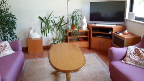 Apartment Lumbarda 4404b