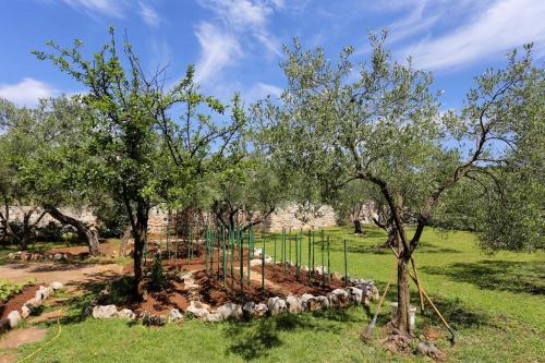 Apartment Lumbarda 4393d