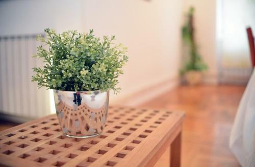 Apartamentos City
