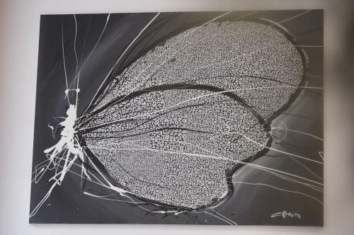Apartments S&a