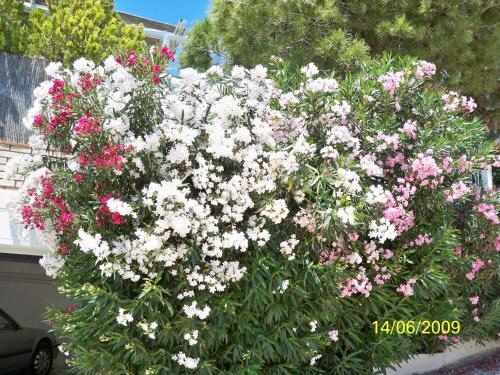 Seaview Villa Angelina