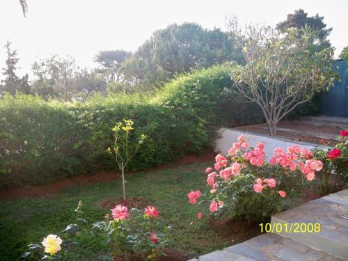 Seaview Villa Angelina