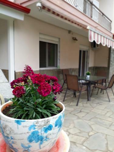 Apartamento Elena Rooms-apartments