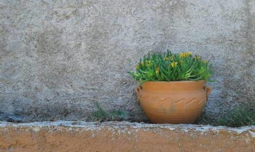 Corfu Town Garden Cottage