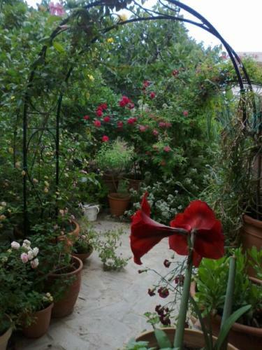 Apartamento Aegina Beach Suite