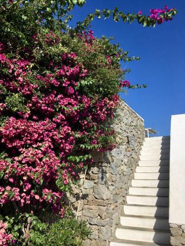 Agroturismo Kalafatis Traditional House