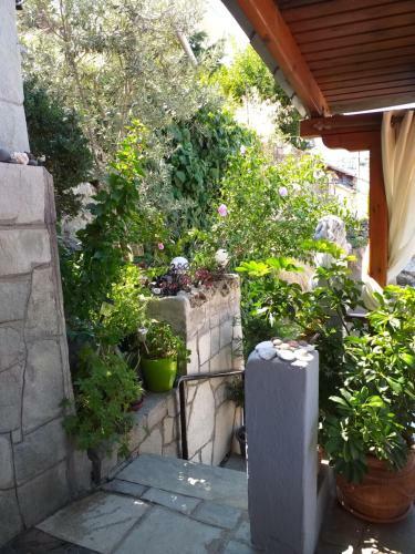 Apartamento Margarita's House