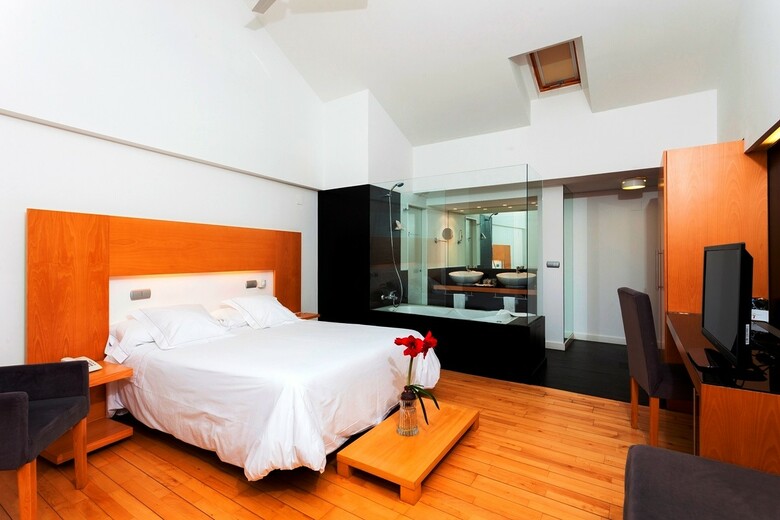 Hotel Tierra De Biescas