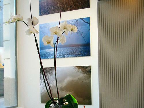 Sercotel Amister Art Hotel Barcelona