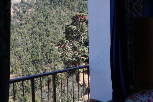 Hostal The Dhanolti Groove Garden