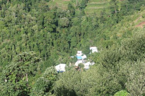 Hostal The Dhanolti Groove Garden
