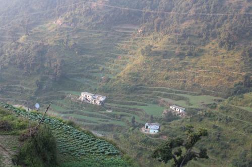 Hostal The Dhanolti Groove Garden