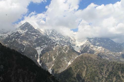 Holidaydada Triund (dharamshala) Camps