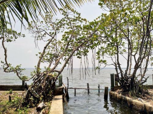 Hotel Heaven On Earth/ Water Front