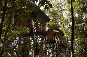 Hotel Permai Rainforest Resort, Kuching