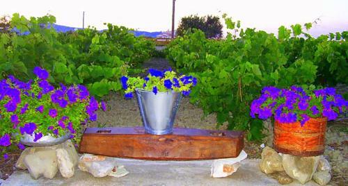 Agroturismo Augoustinos Villa