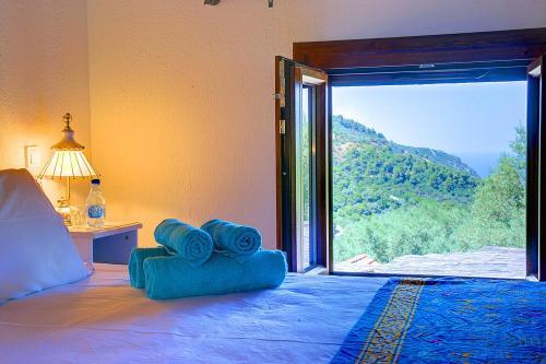 Skopelos Villa Sleeps 2 Pool Air Con Wifi