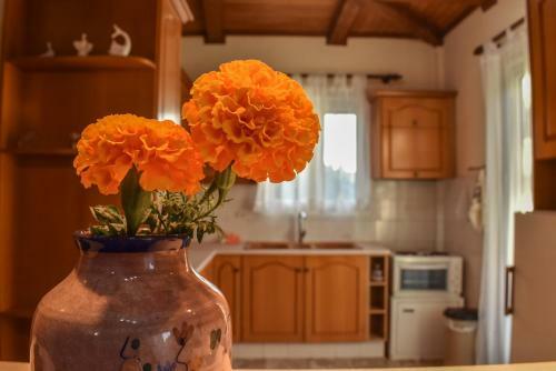 Apartamento Villa Giovani