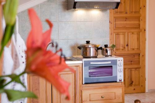 Pansion Filoxenia Apartments & Studios