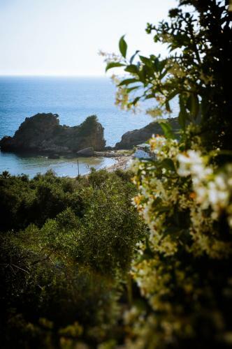 Fotini's Apartments - Pelekas Beach