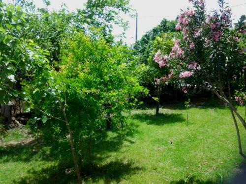 Apartamento Maria Studios Skiathos
