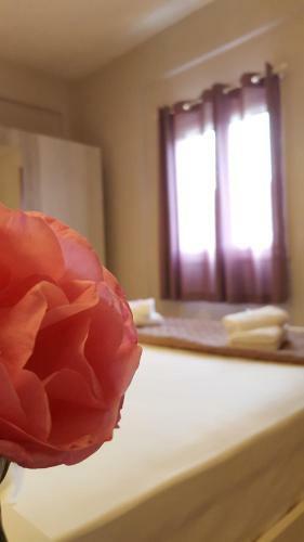 Amaryllis Boutique Apartments
