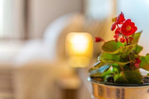 Bed & Breakfast Georgalas Sun Beach Rooms