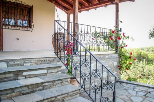 Halkidiki Family Villa-garden