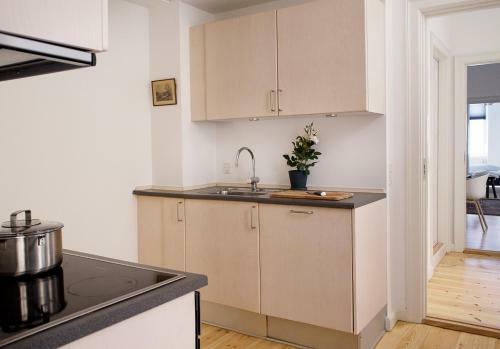 Spacious Apartments In Copenhagen Centre