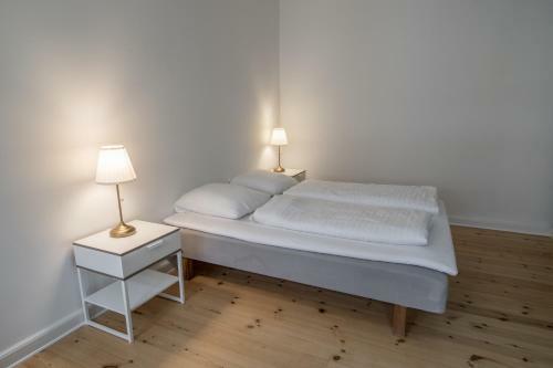 Spacious Apartments In Copenhagen Centre