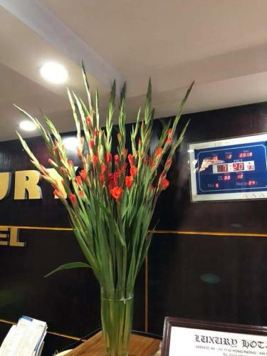 Luxury Hotel