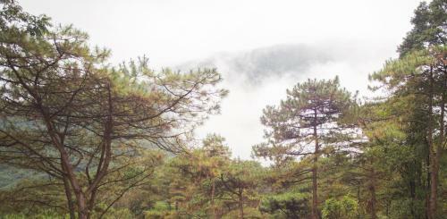 Hotel Melia Bavi Mountain Retreat