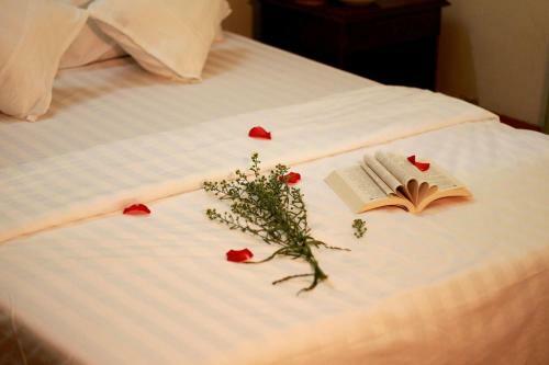 Hotel Li�n Thu? Motel - Lotus Motel