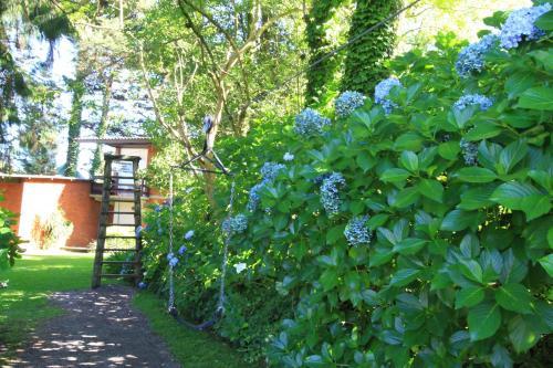 Natur Hotel