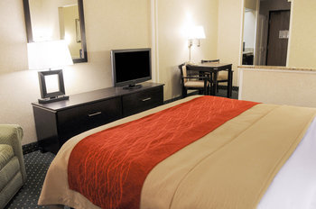 Hotel Comfort Inn & Suites North