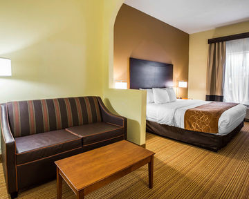 Hotel Comfort Suites Anderson