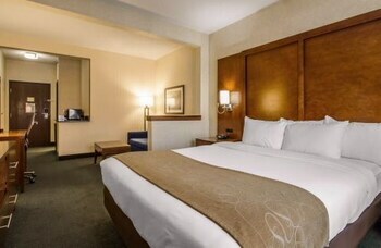 Hotel Comfort Suites Appleton Airport