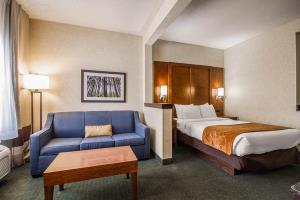 Hotel Comfort Suites Appleton Airport