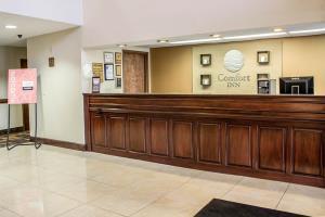 Hotel Comfort Inn Near High Point University