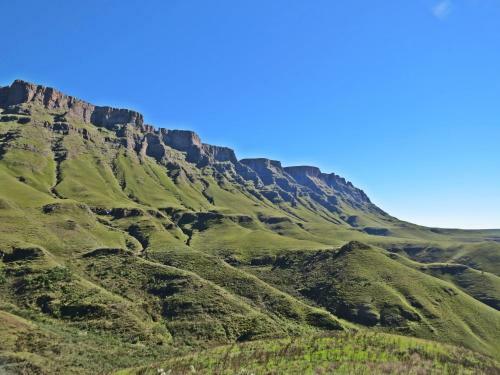 Country Comfort Underberg