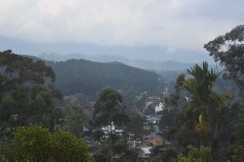 Baagie Homestay