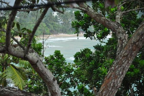 Bed & Breakfast Sajana Ocean Hill
